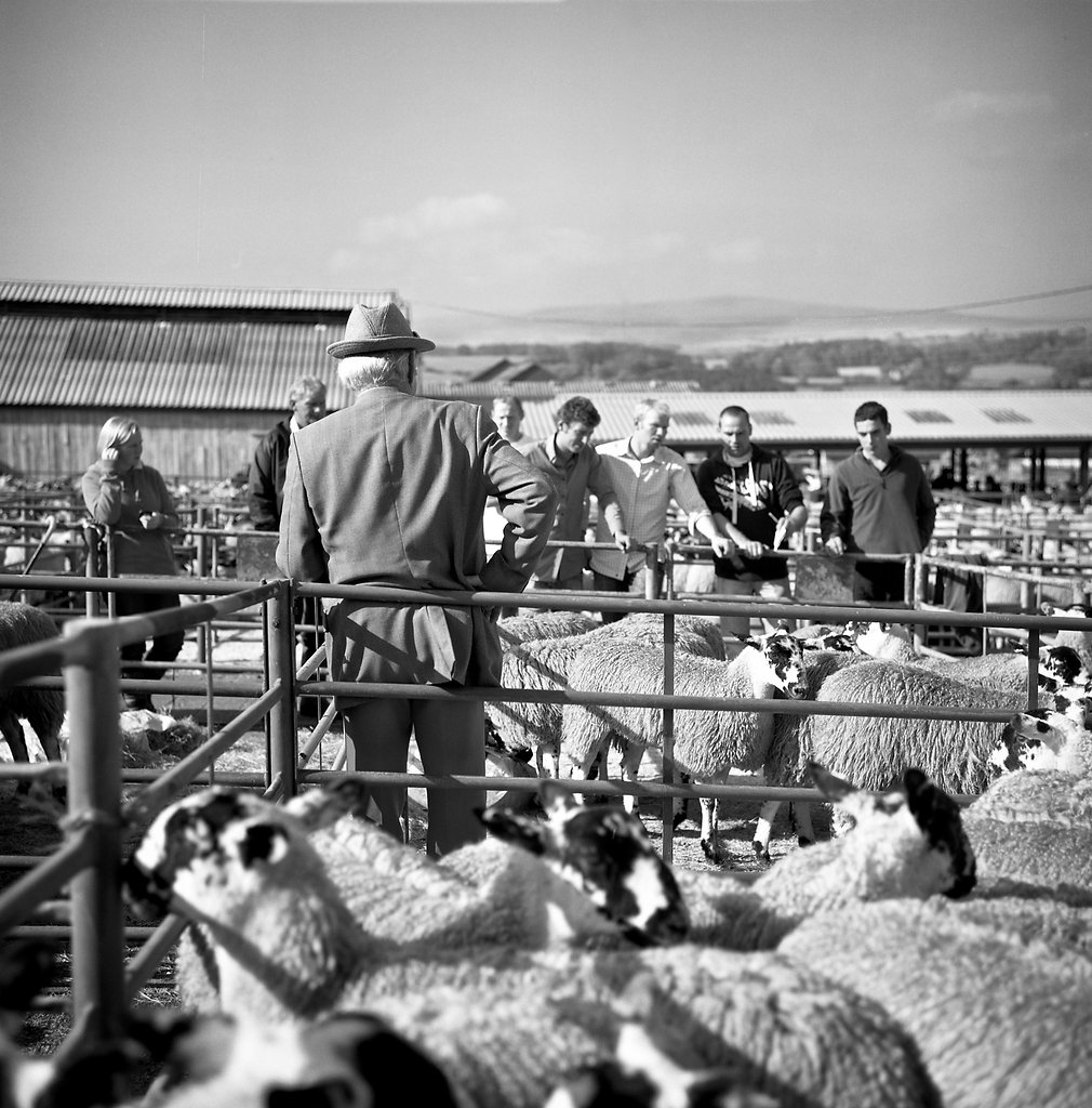 Farmer, Lazonby mart